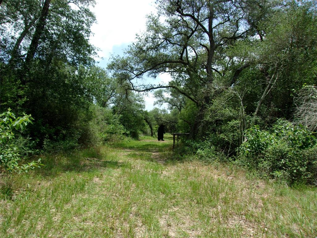 2336 Us Hwy 90a Hwy, Rock Island, Texas image 14