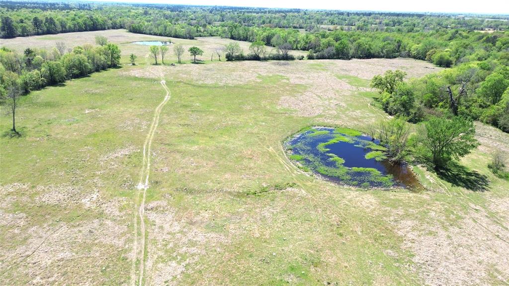 6488 County Road 3555, Lovelady, Texas image 10