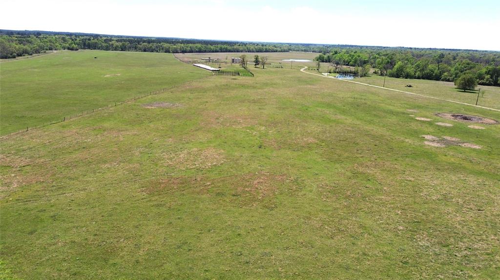 6488 County Road 3555, Lovelady, Texas image 6