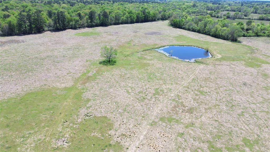 6488 County Road 3555, Lovelady, Texas image 11