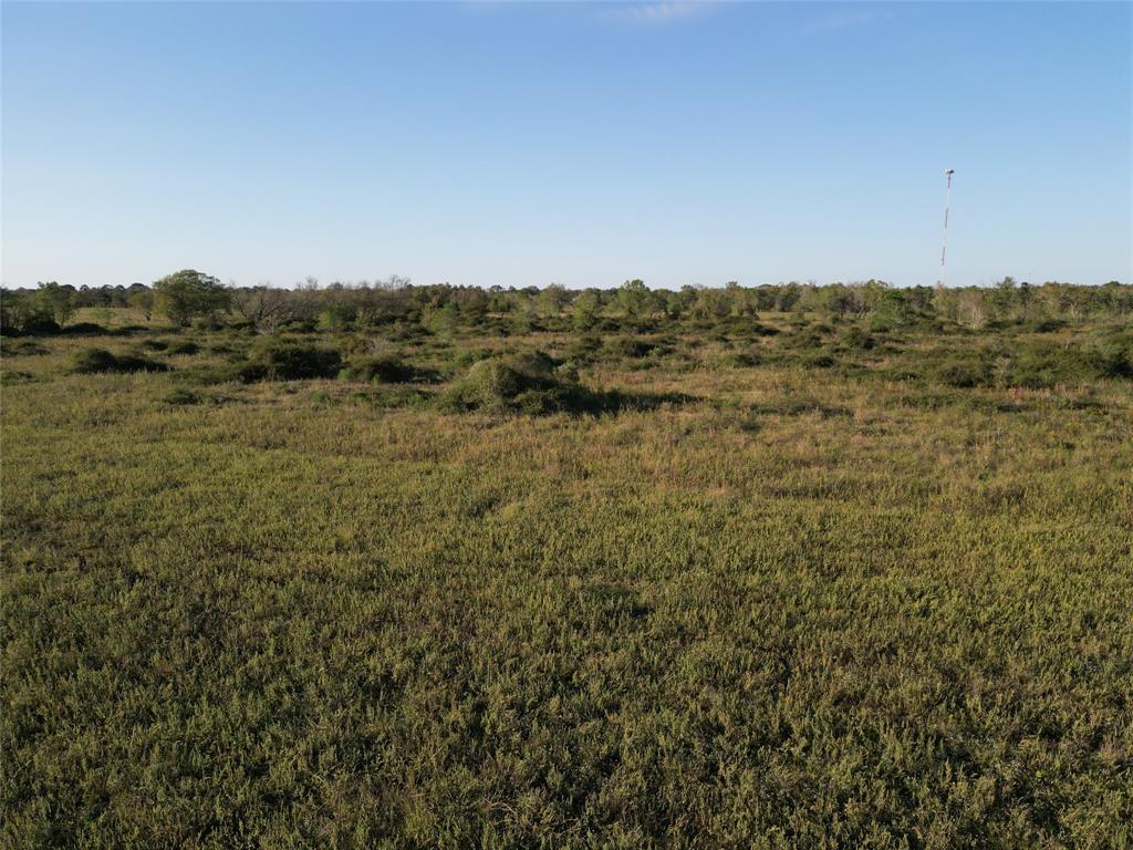 220 (171ac) County Road, Angleton, Texas image 10