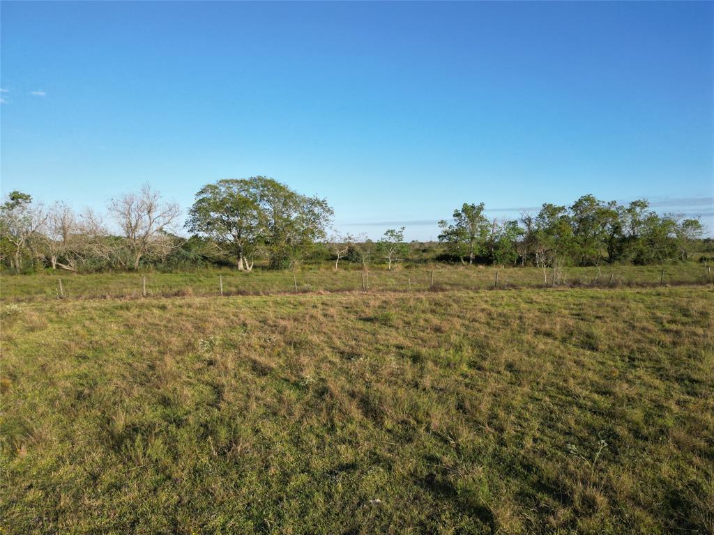 220 (171ac) County Road, Angleton, Texas image 17