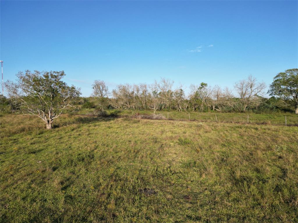 220 (171ac) County Road, Angleton, Texas image 16
