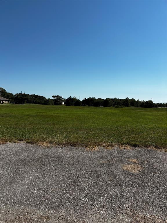 State Street, Hitchcock, Texas image 3