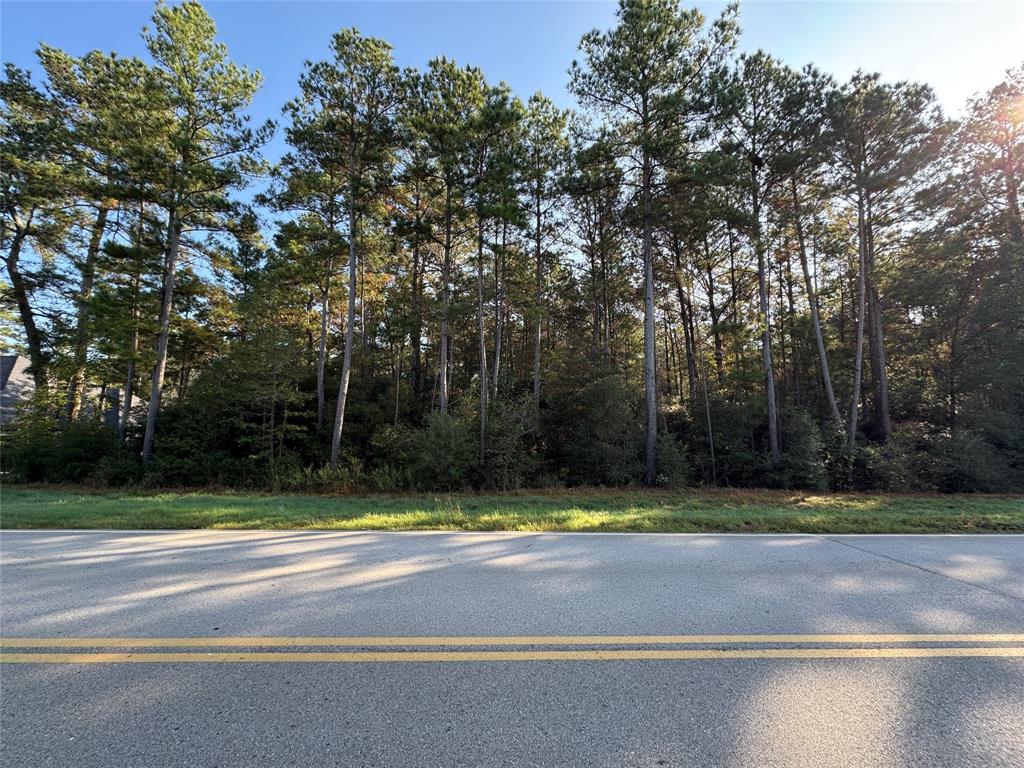 6-30-16 Dipping Vat Road, Huntsville, Texas image 10