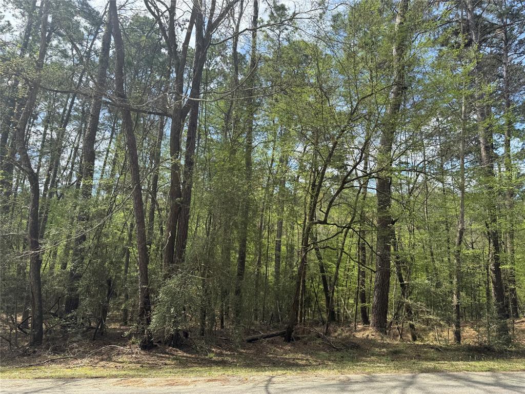 126 Green Tree Drive, Coldspring, Texas image 1