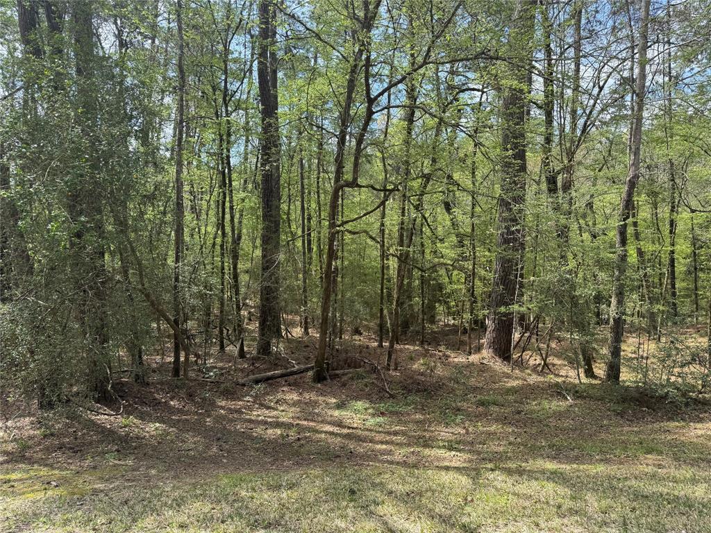 126 Green Tree Drive, Coldspring, Texas image 2