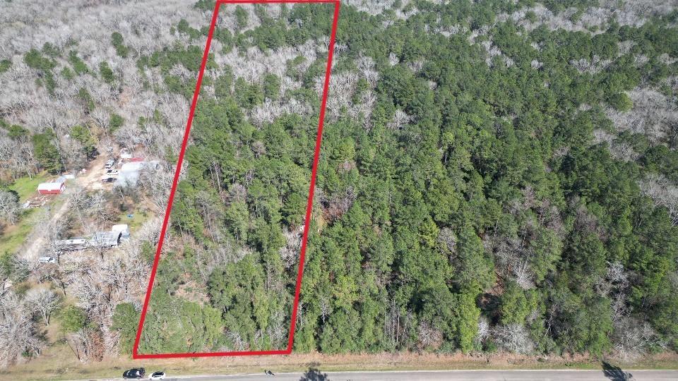 TBD Mangum Road, Livingston, Texas image 1