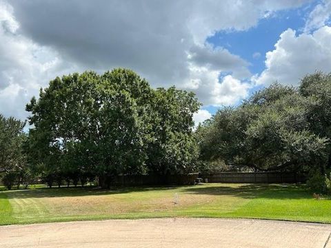 Photo of 33307 Whiting Street, Fulshear, TX 77441 (MLS # 49888376) Photo of 33307 Whiting Street, Fulshear, TX 77441 (MLS # 49888376)