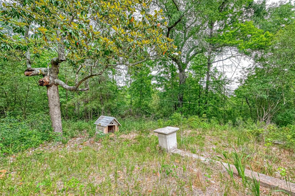 709 S Houston Avenue, Livingston, Texas image 19