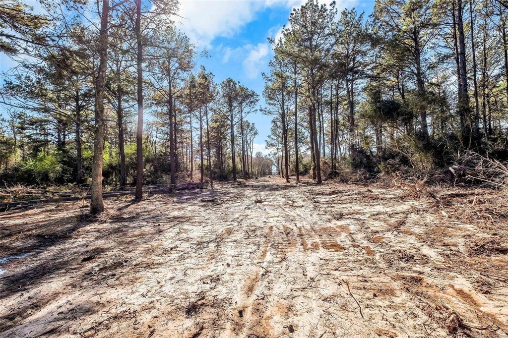 Hardy Rd 10133 Lt I Road, Houston, Texas image 4