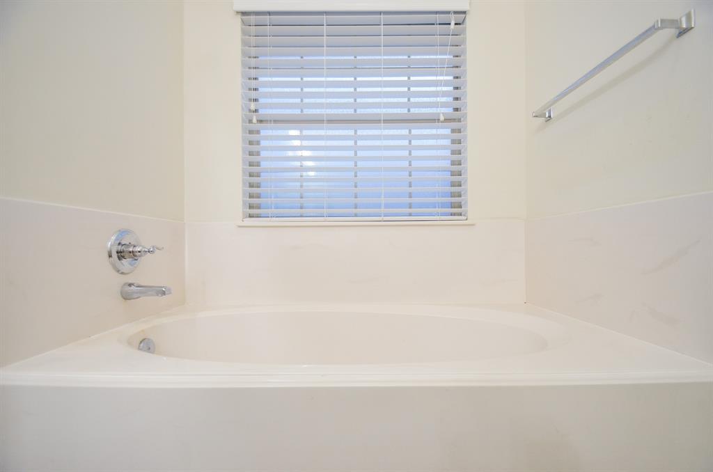 6514 Palo Duro Drive, Manvel, Texas image 19