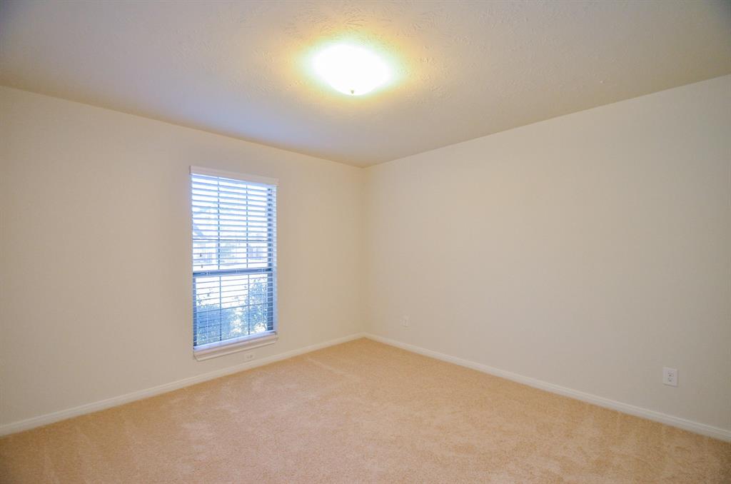 6514 Palo Duro Drive, Manvel, Texas image 22