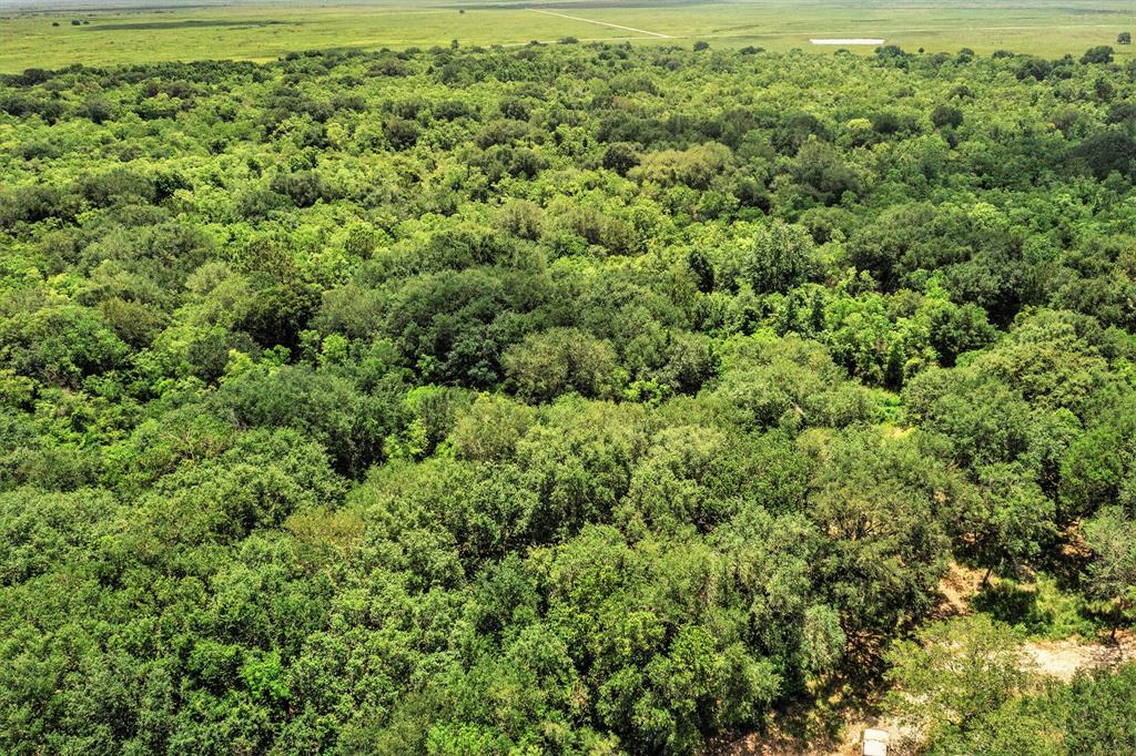 0000 Fm 562, Anahuac, Texas image 9