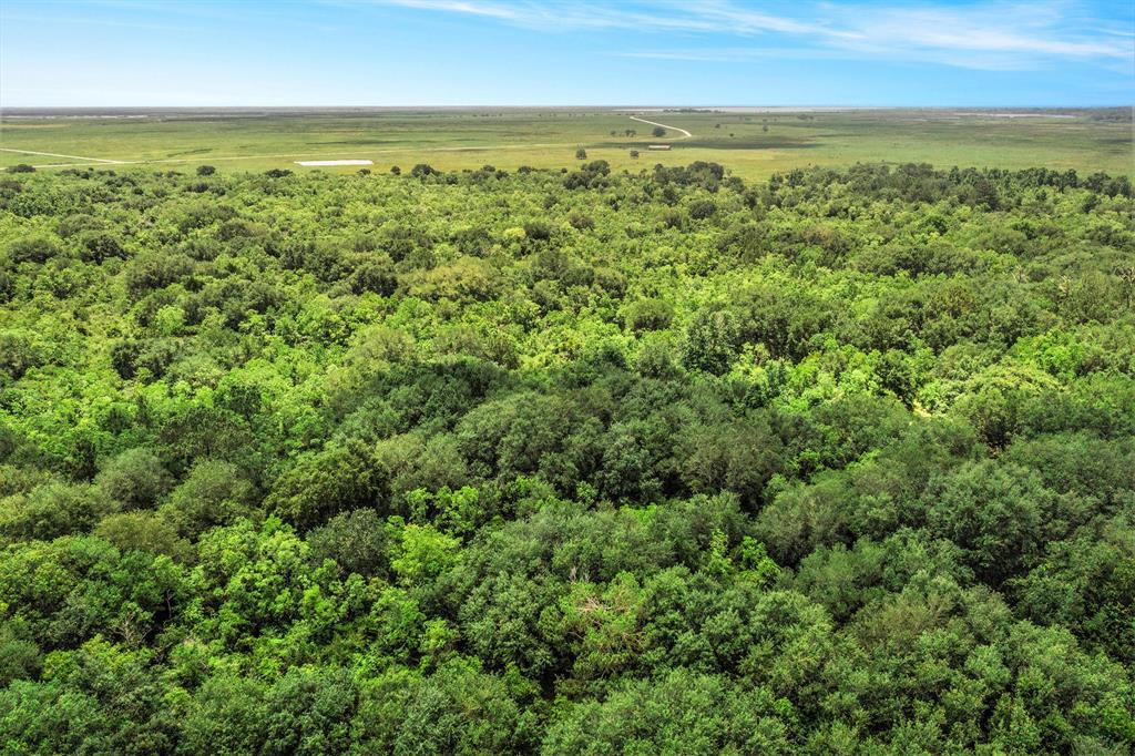 0000 Fm 562, Anahuac, Texas image 6