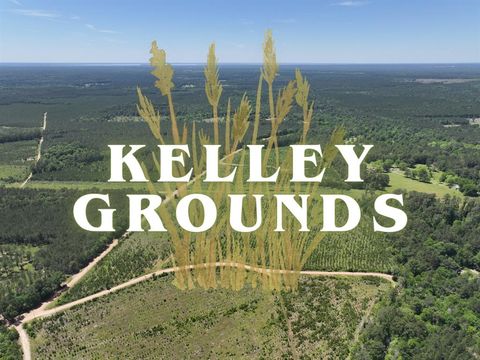 Vacant Land For Sale - 1-3 Kelley Road<br/> Livingston, TX 77351