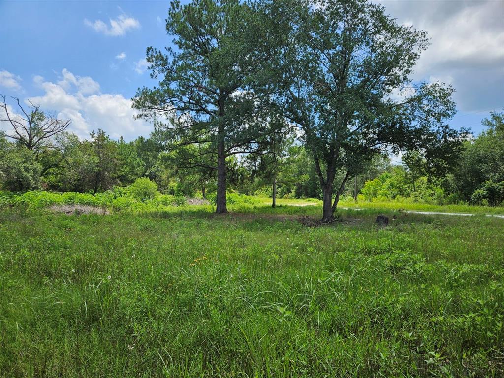 Bracewell Road, Bedias, Texas image 7