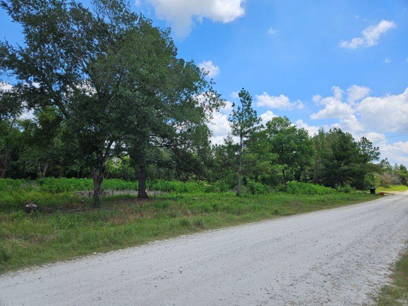 Bracewell Road, Bedias, Texas image 2