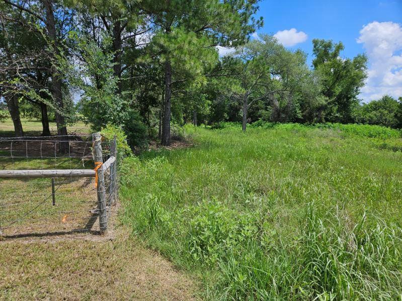 Bracewell Road, Bedias, Texas image 1