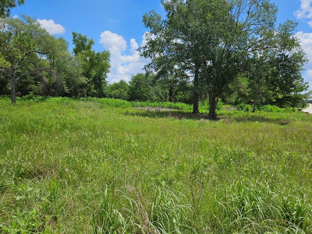 Bracewell Road, Bedias, Texas image 8