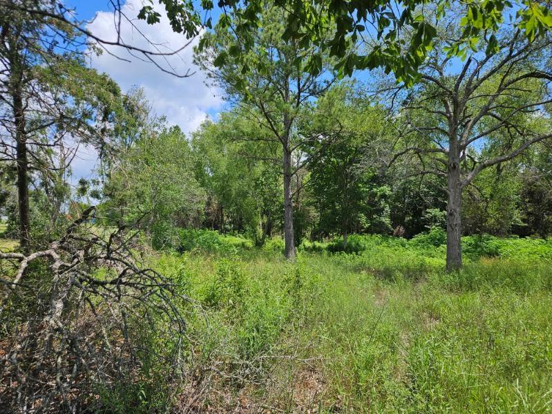 Bracewell Road, Bedias, Texas image 3