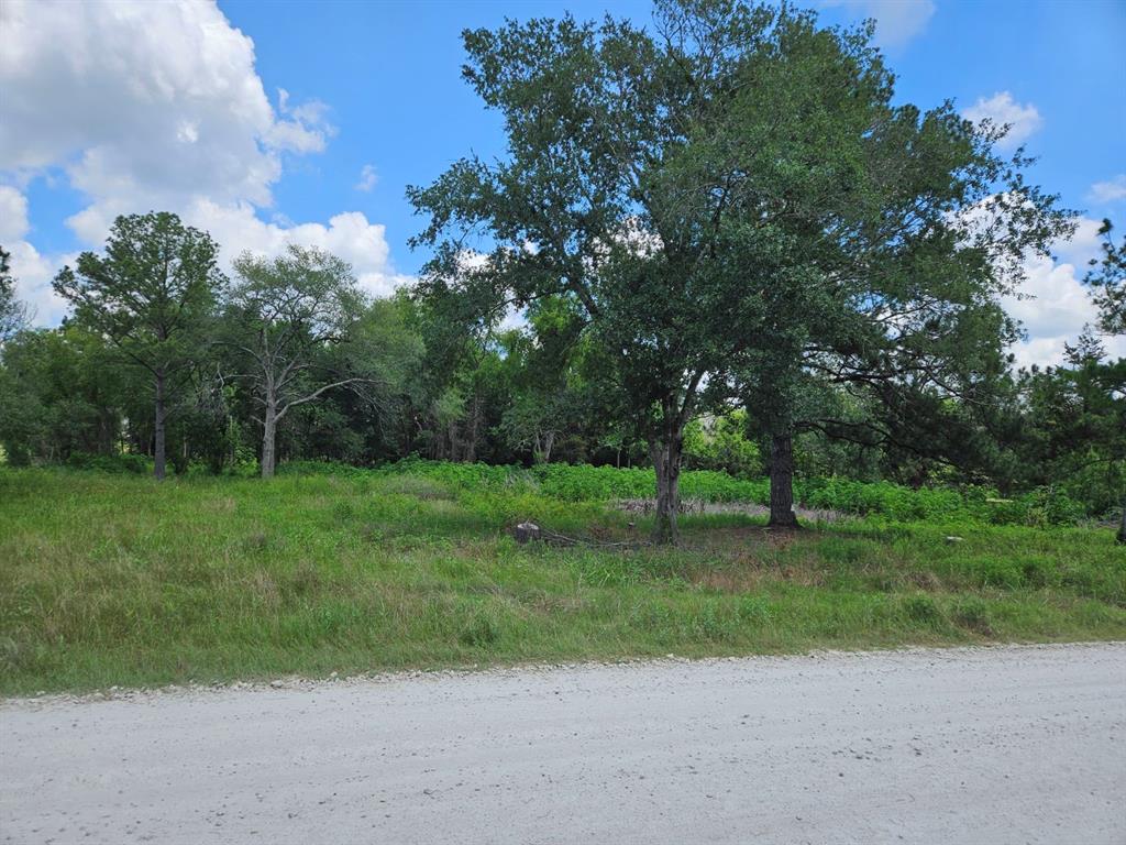 Bracewell Road, Bedias, Texas image 4