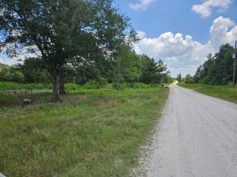 Bracewell Road, Bedias, Texas image 5