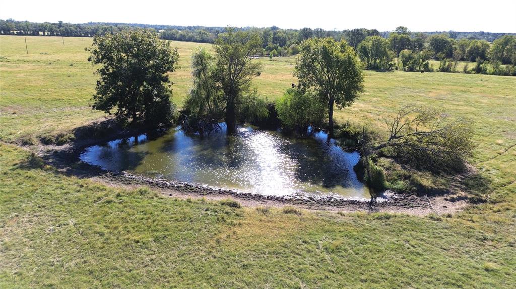 TBD Ashworth Lane, Pennington, Texas image 6