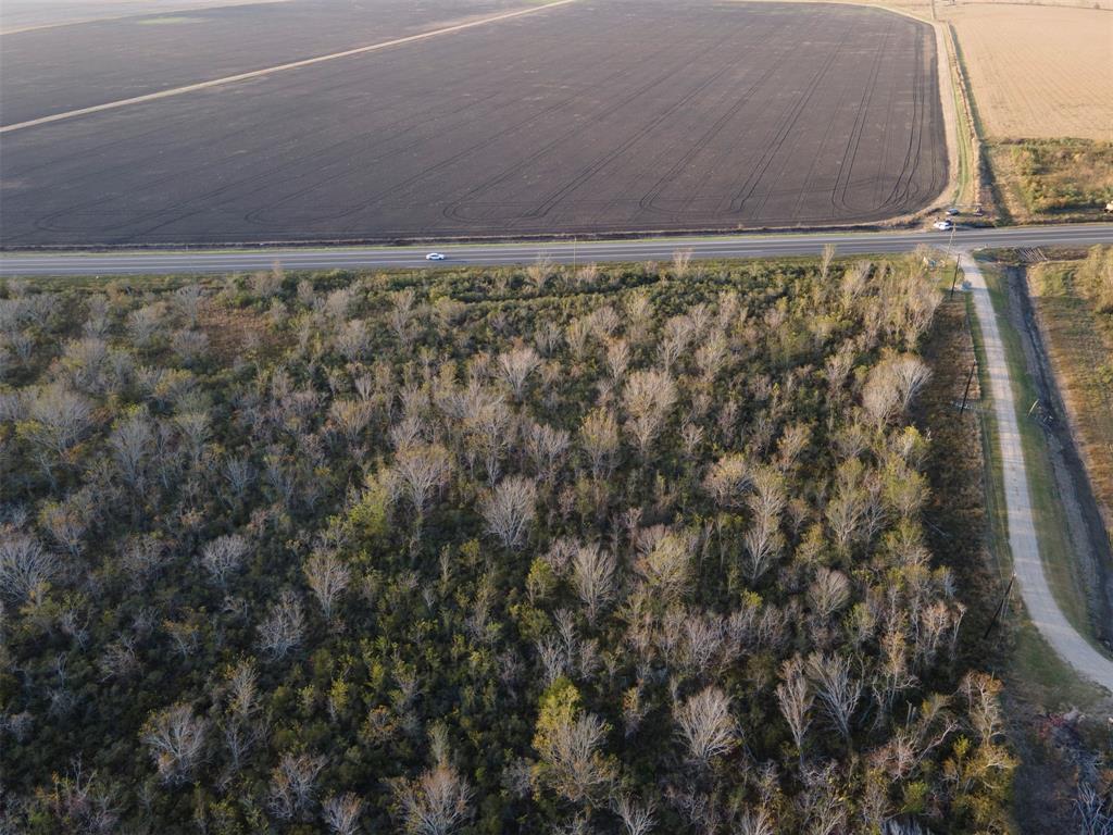 Hwy 35, Liverpool, Texas image 8
