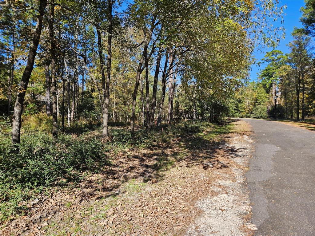 TBD Rolling Springs Street, Trinity, Texas image 3