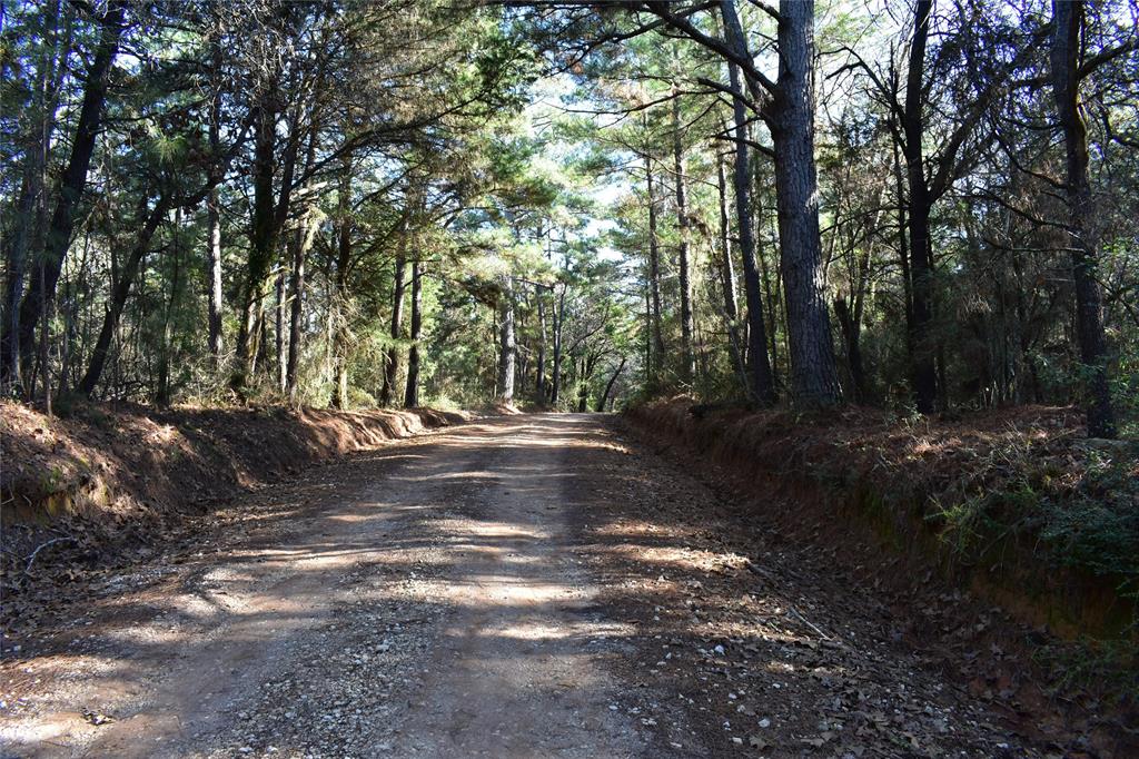 TBD County Road 331, Oakwood, Texas image 2