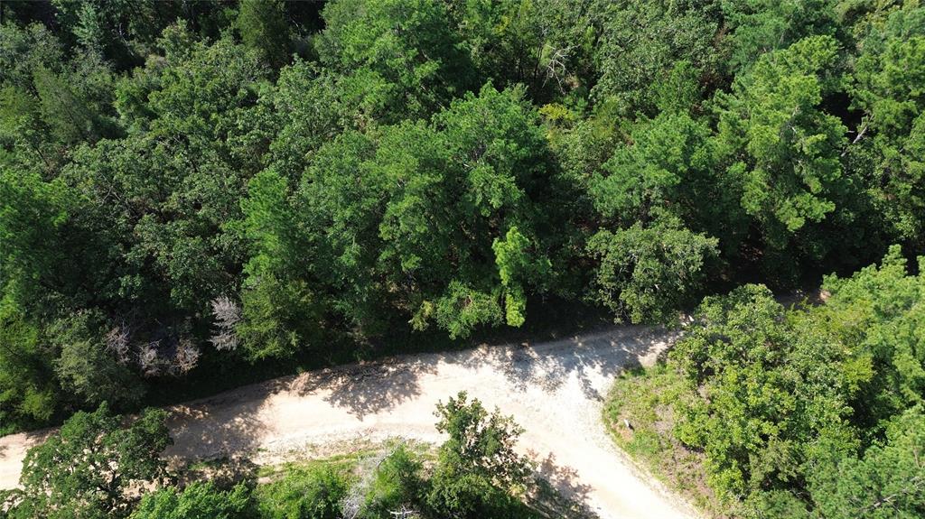 TBD County Road 331, Oakwood, Texas image 11