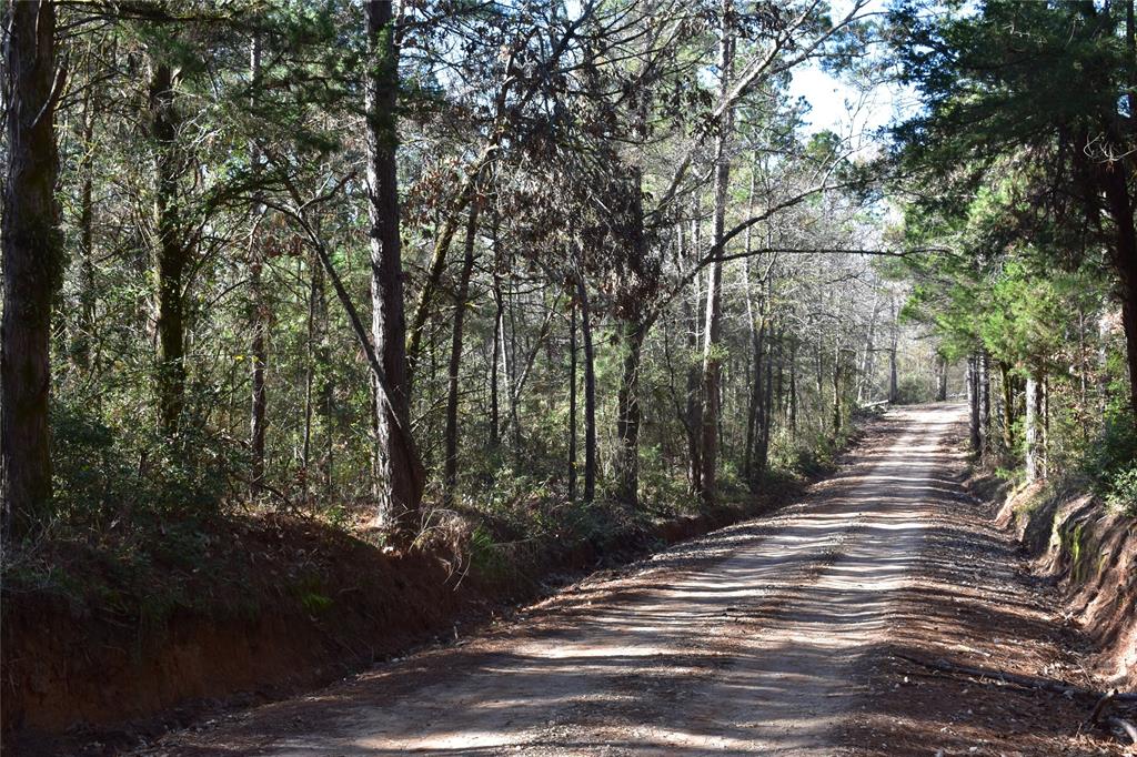 TBD County Road 331, Oakwood, Texas image 8