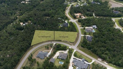 7223 Morningbrook Drive Montgomery TX 77316