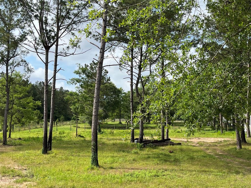 360 Jammye Drive, Cleveland, Texas image 15