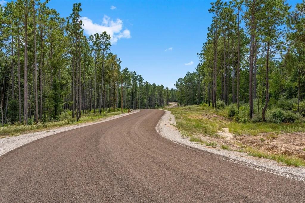 TBD Mccoy Ranch Rd Road, Onalaska, Texas image 7