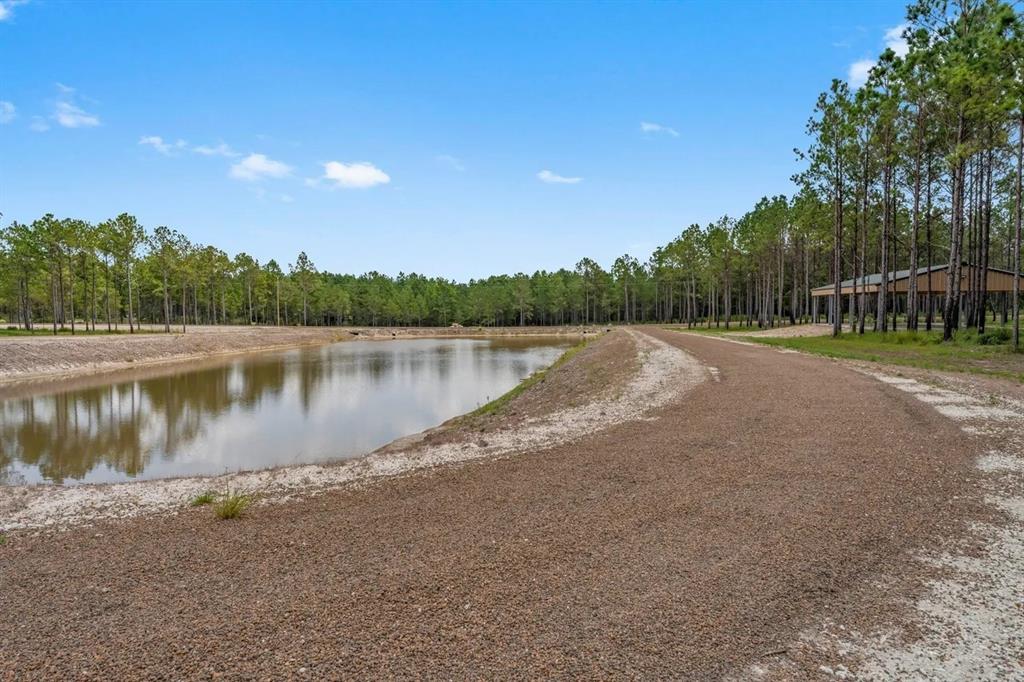 TBD Mccoy Ranch Rd Road, Onalaska, Texas image 3