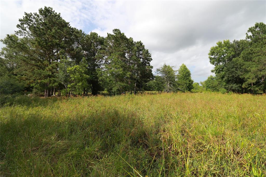 7449 0 I-10 Highway, Hankamer, Texas image 7