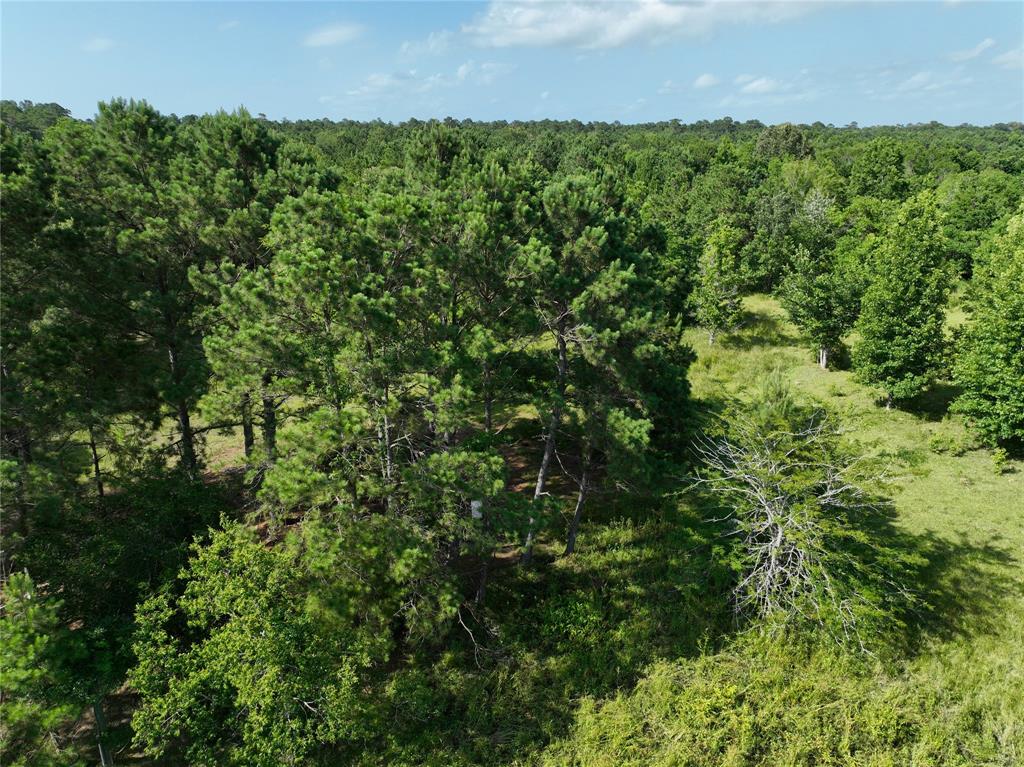 7449 0 I-10 Highway, Hankamer, Texas image 6