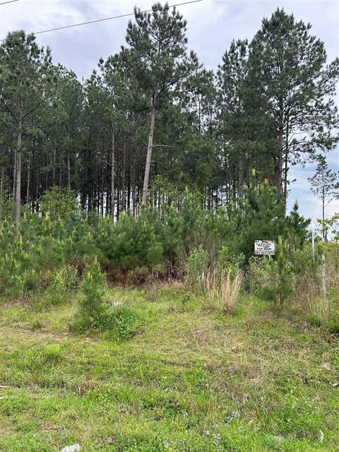 Photo of 2978 County Road 3545, Cleveland, TX 77327 (MLS # 31810479) Photo of 2978 County Road 3545, Cleveland, TX 77327 (MLS # 31810479)