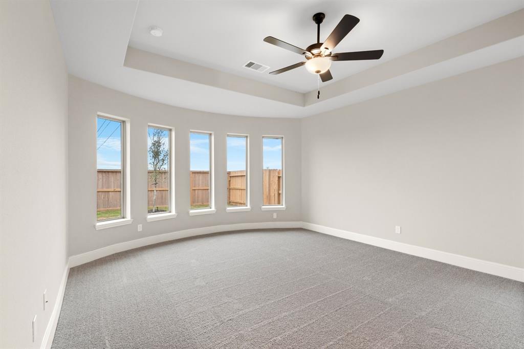 6323 Sparkling Citrus Street, Manvel, Texas image 17