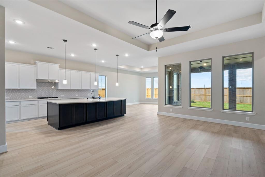 6323 Sparkling Citrus Street, Manvel, Texas image 8