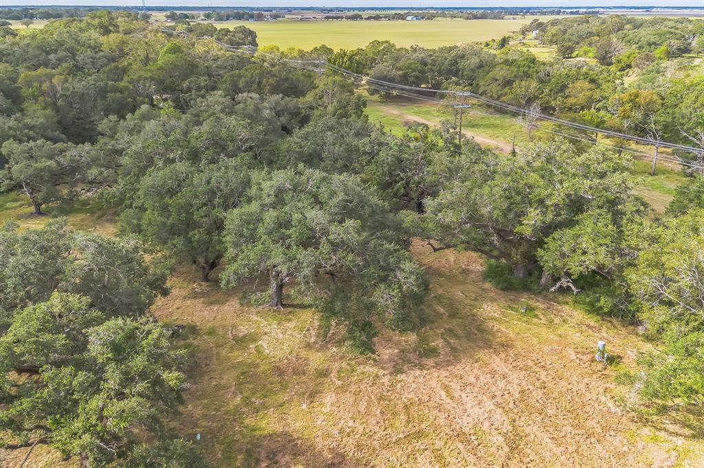 2932 County Road 126, Van Vleck, Texas image 8