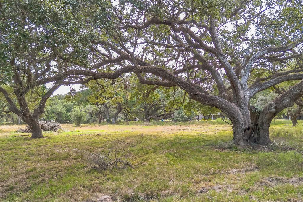 2932 County Road 126, Van Vleck, Texas image 1