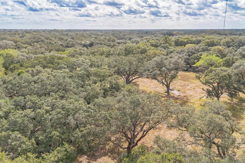 2932 County Road 126, Van Vleck, Texas image 9