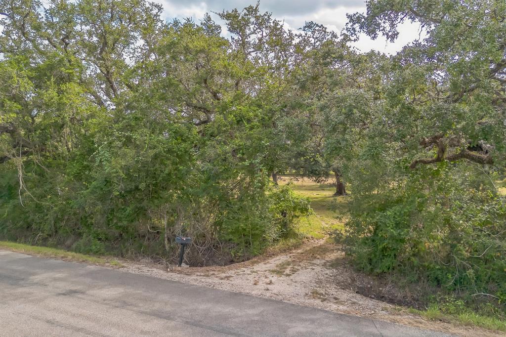 2932 County Road 126, Van Vleck, Texas image 3