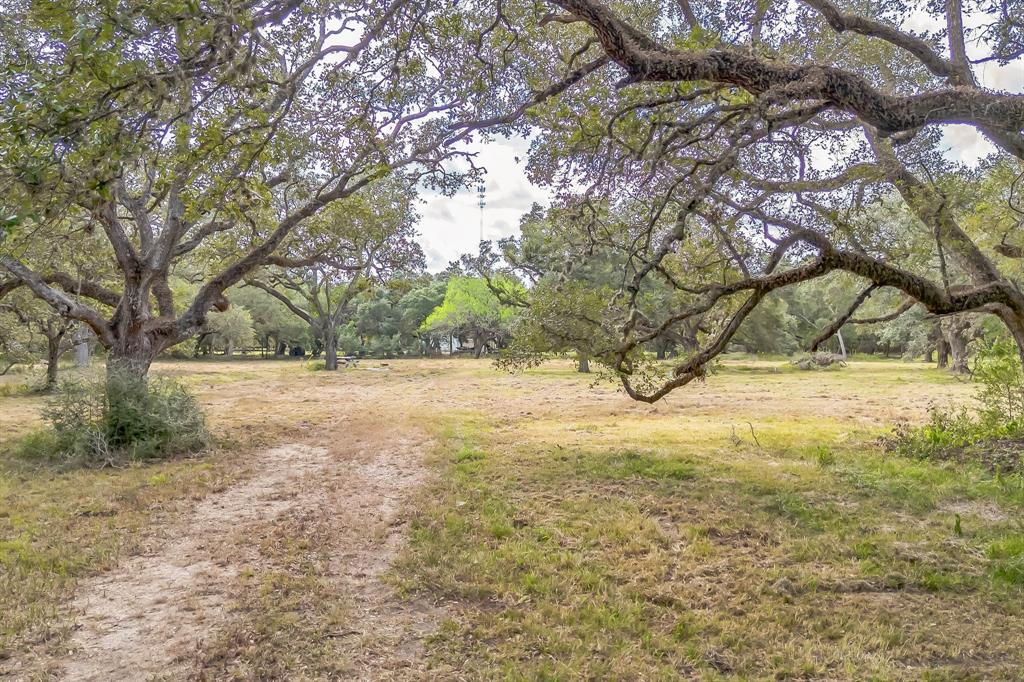 2932 County Road 126, Van Vleck, Texas image 5