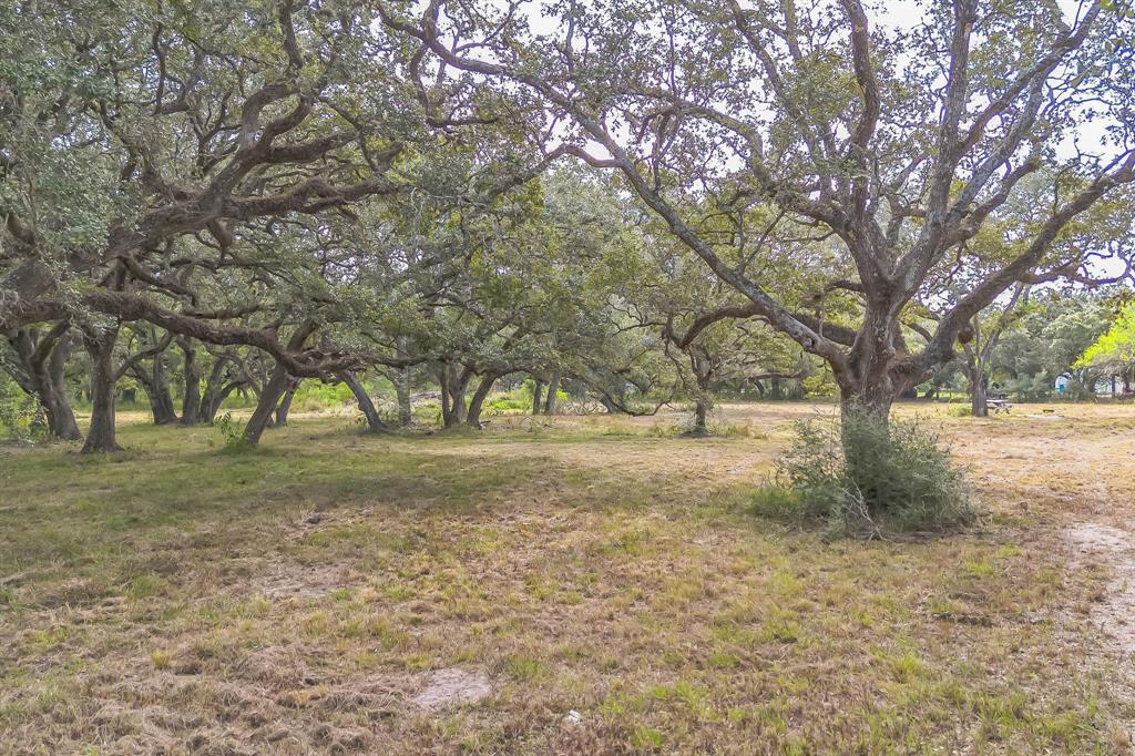 2932 County Road 126, Van Vleck, Texas image 10