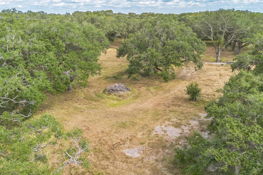 2932 County Road 126, Van Vleck, Texas image 6