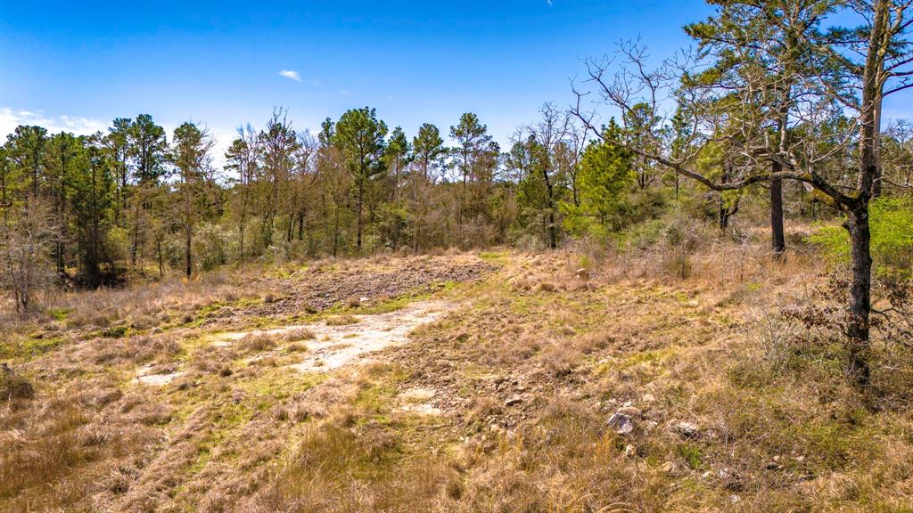 TBD Old Staley, Oakhurst, Texas image 12